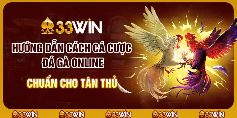 Hướng dẫn cách cá cược đá gà online chuẩn cho tân thủ