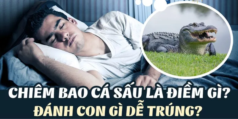 Một số lưu ý quan trọng khi áp dụng giấc mơ cá sấu vào lô đề 